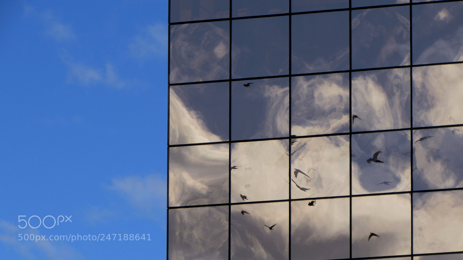 Canon PowerShot SX510 HS sample photo. Doves and clouds photography