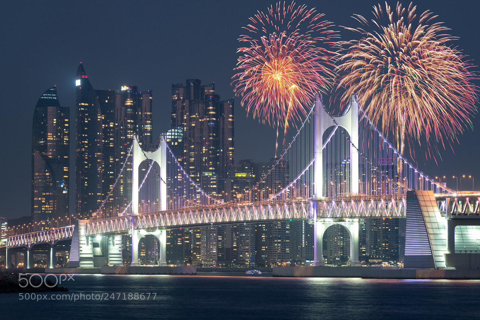 Nikon D800 sample photo. New year fireworks show photography
