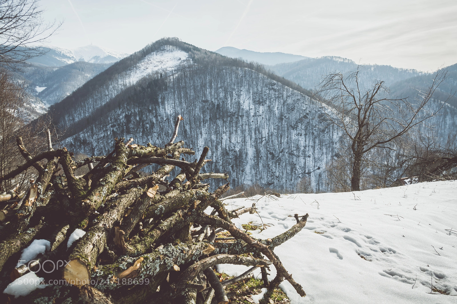 Nikon D7100 sample photo. Footsteps of winter photography