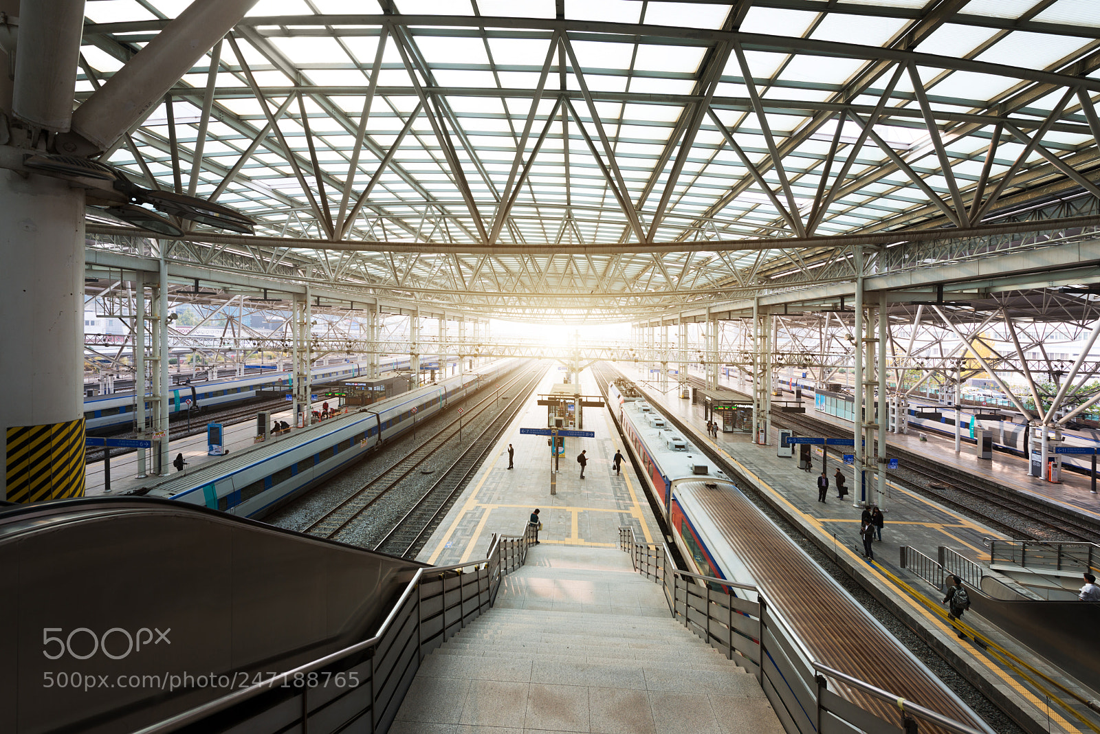 Nikon D800 sample photo. High-speed train in seoul photography