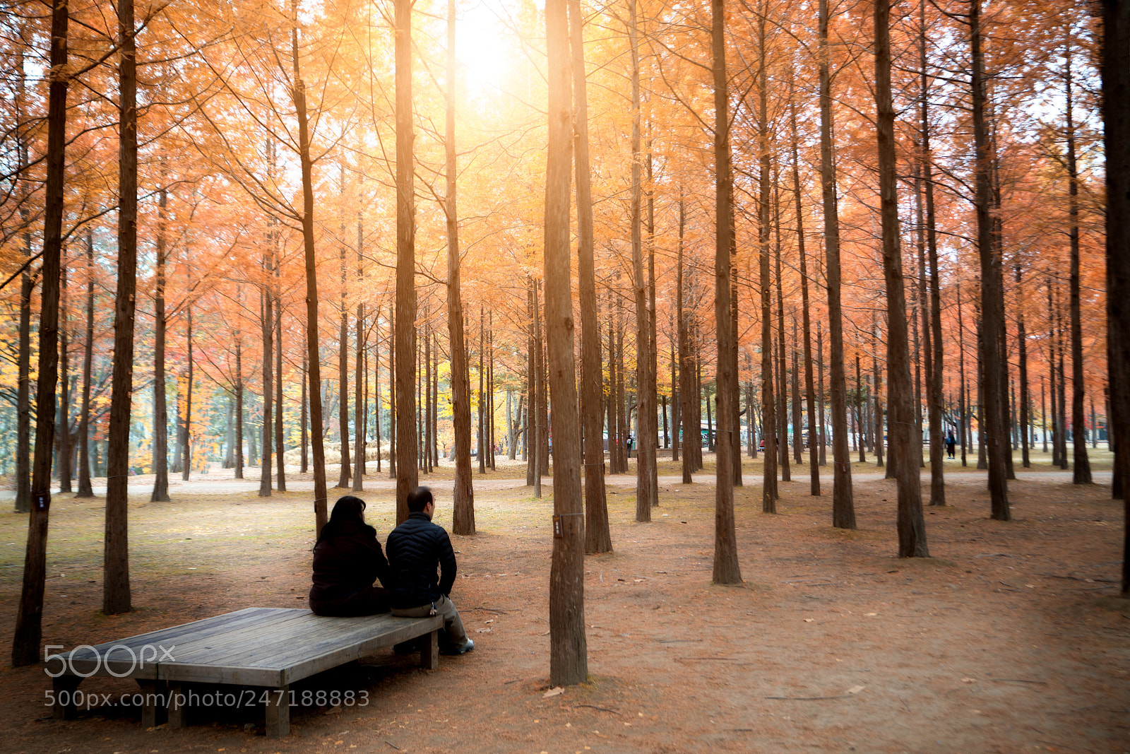 Sony a7R II sample photo. Tourists visiting the beautiful photography