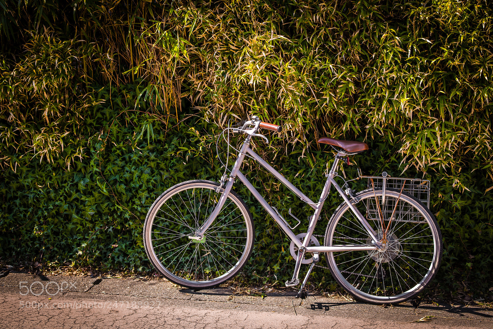 Nikon D850 sample photo. Dsc photography