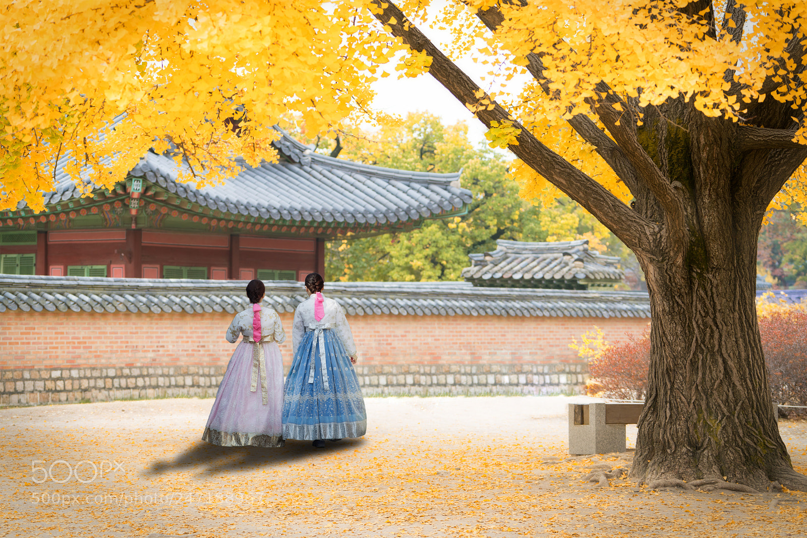 Sony a7R II sample photo. Asian korean woman dressed photography