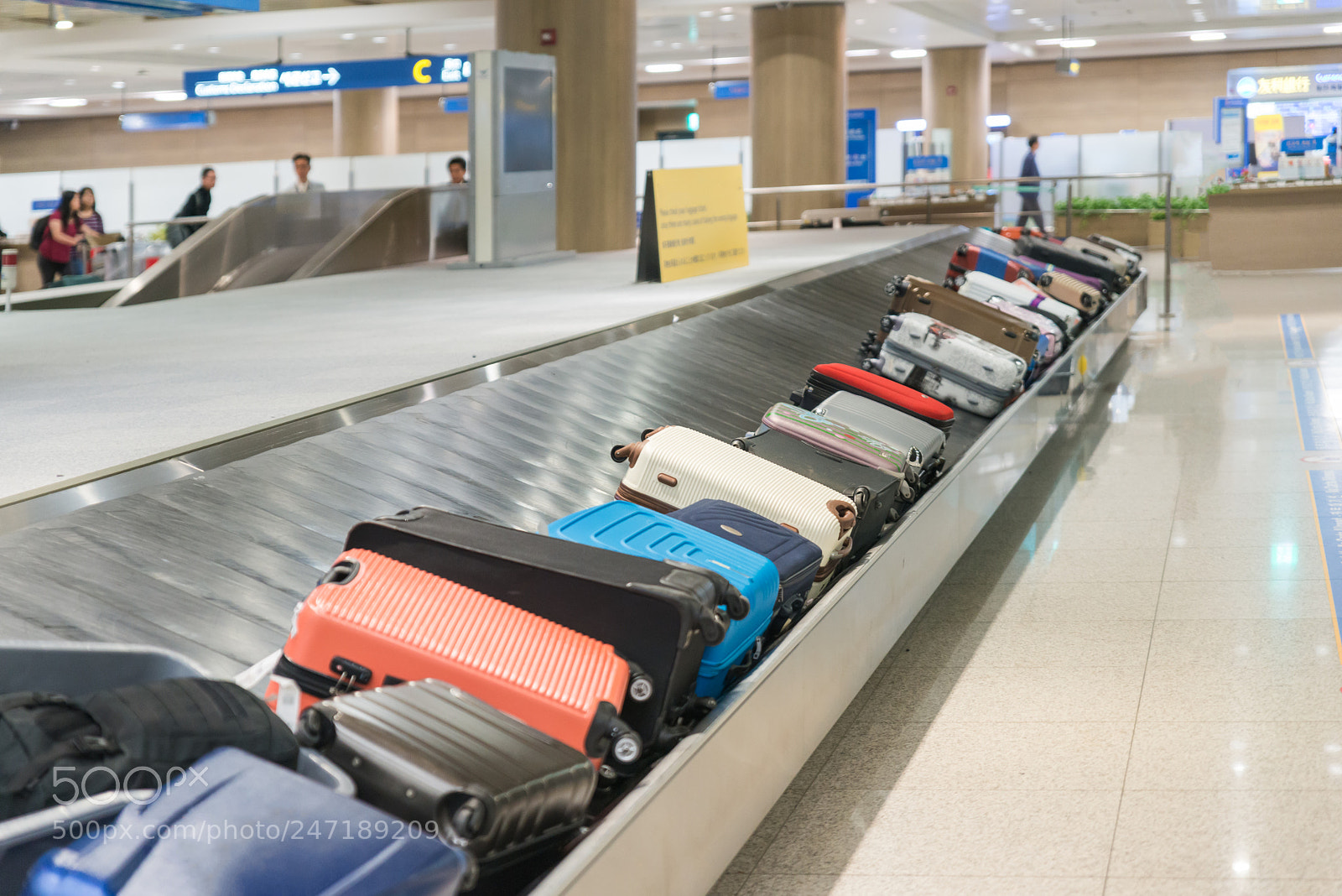Nikon D800 sample photo. Suitcase or luggage with photography