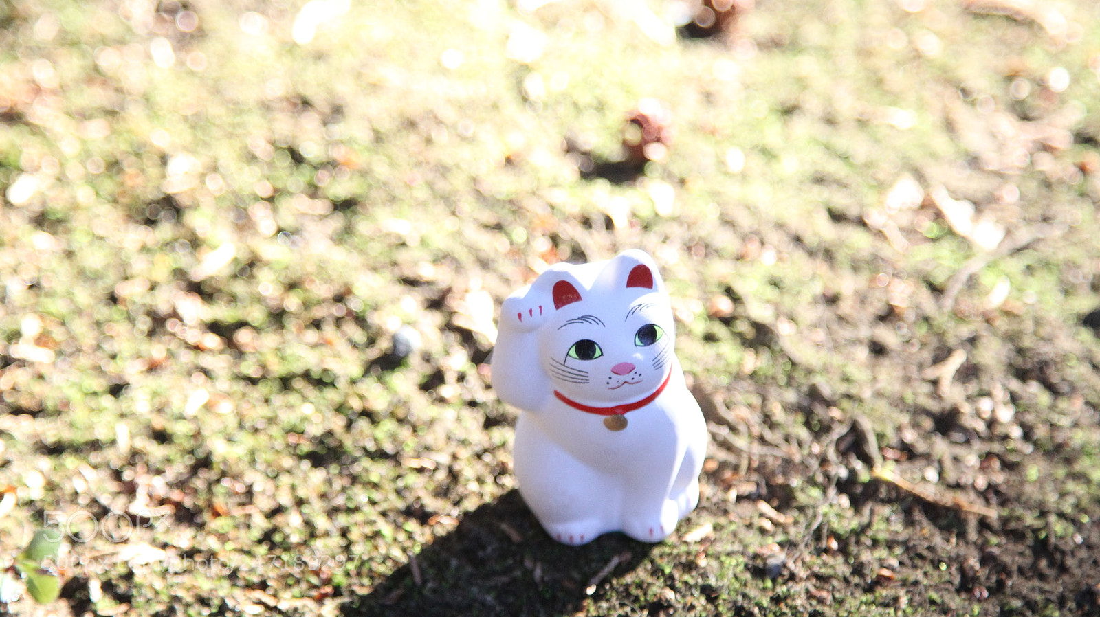 Canon EOS 60D + Canon EF 24-105mm F4L IS USM sample photo. Img photography