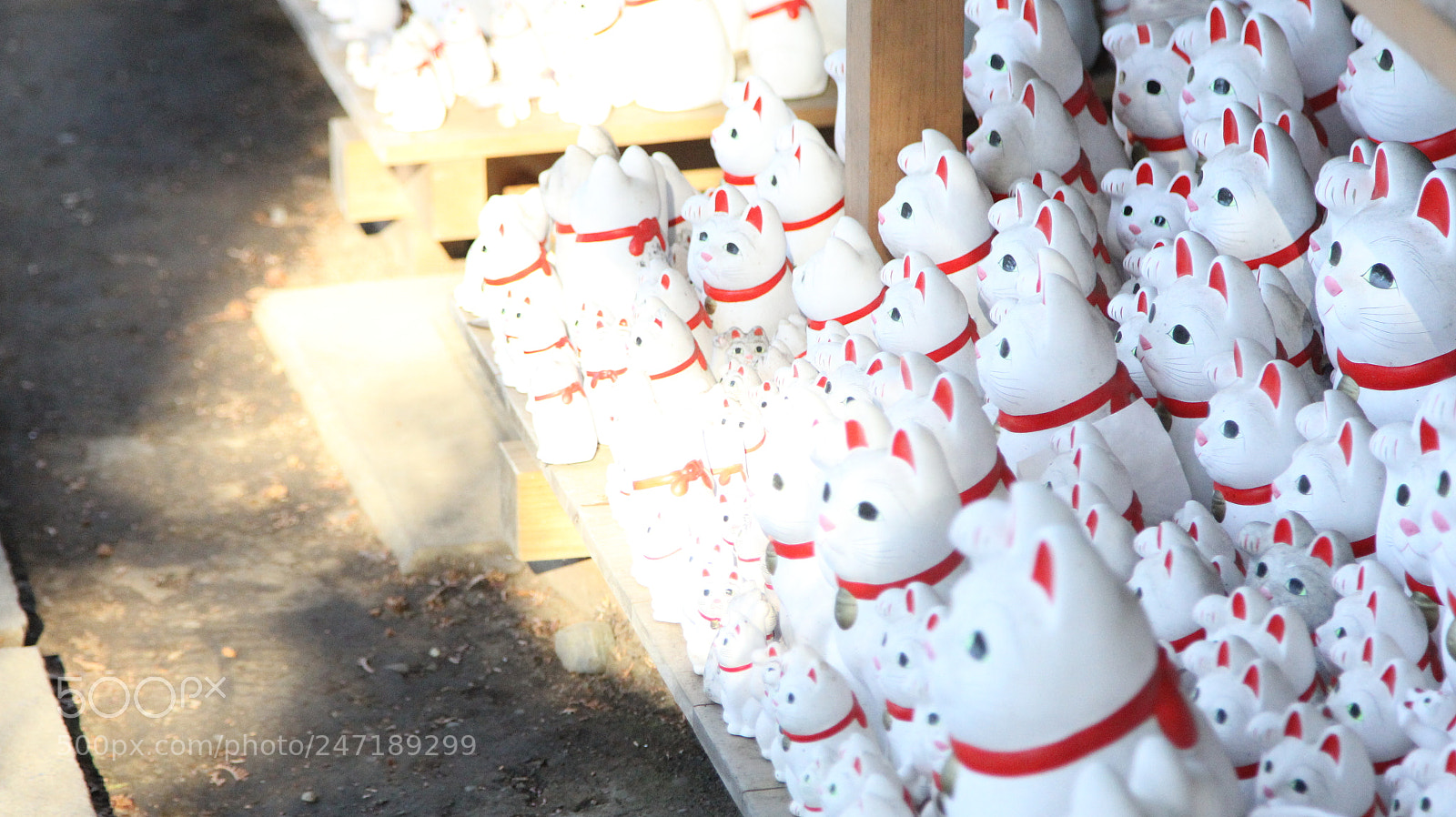 Canon EOS 60D + Canon EF 24-105mm F4L IS USM sample photo. Img photography
