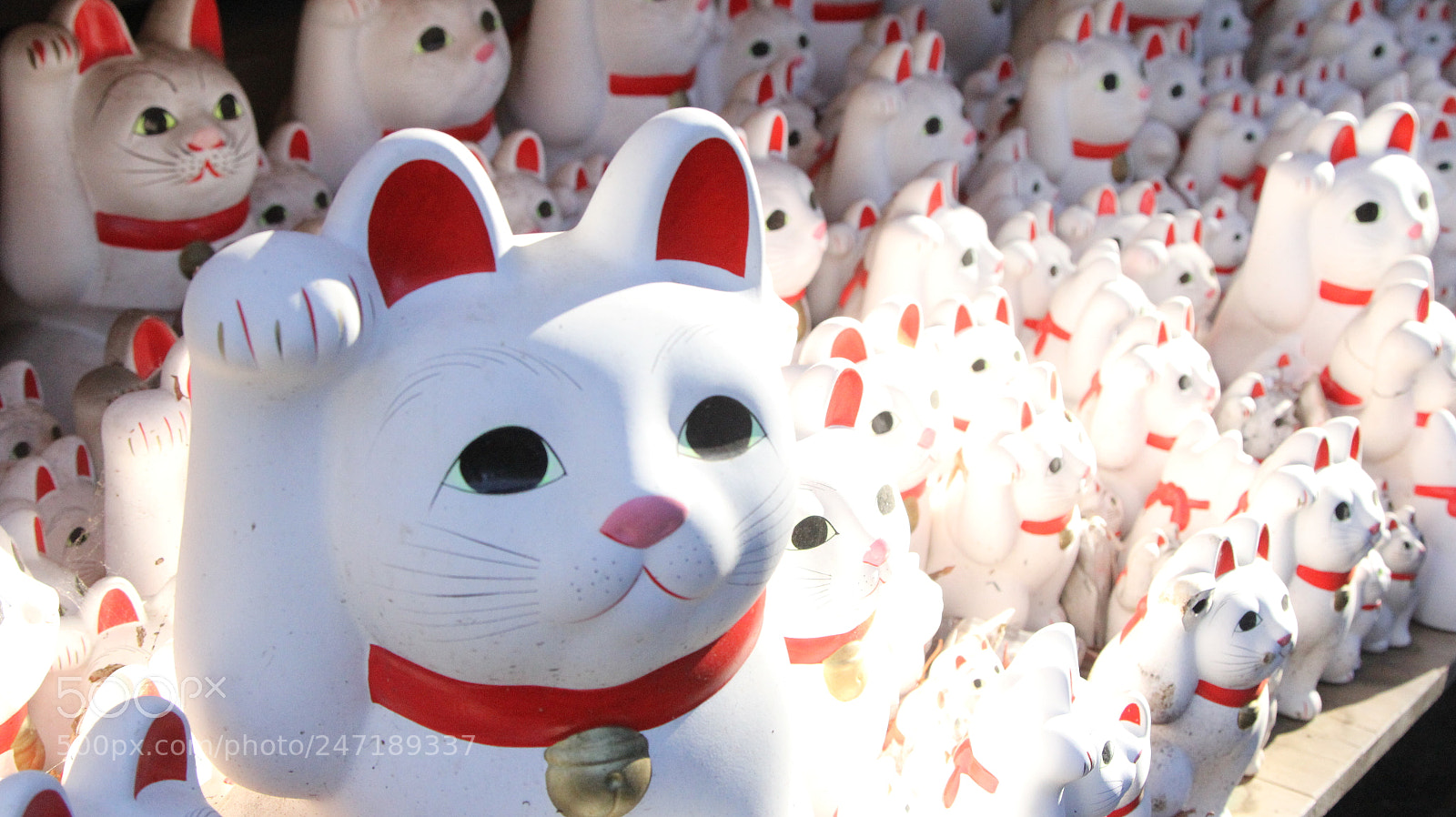 Canon EOS 60D + Canon EF 24-105mm F4L IS USM sample photo. Img photography