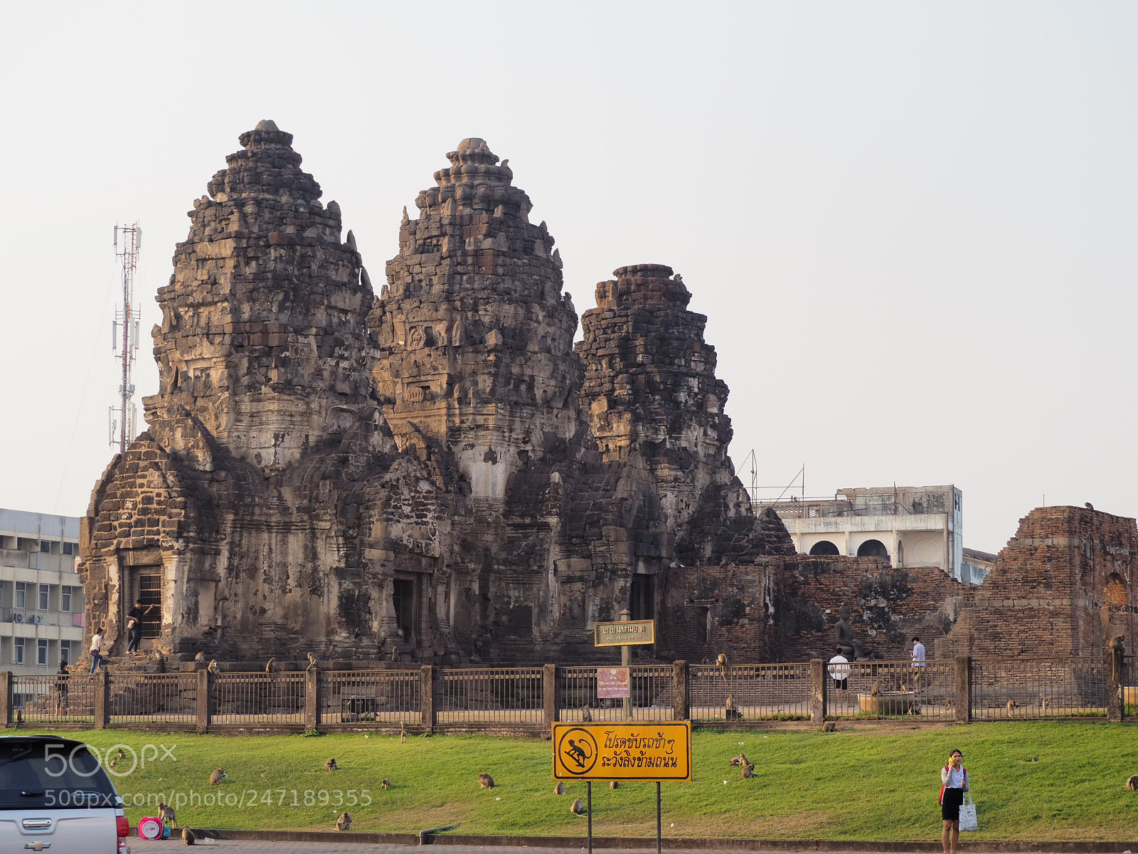 Olympus OM-D E-M10 II sample photo. Untitled photography