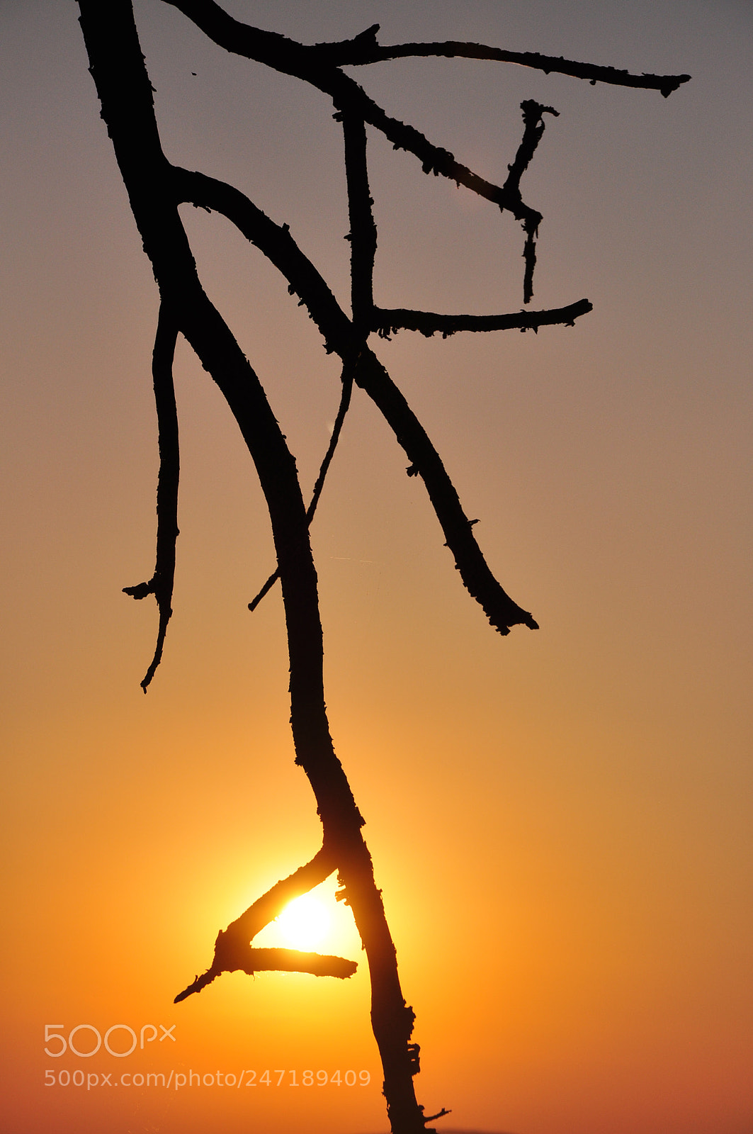 Nikon D90 sample photo. 110713- 131.jpg photography