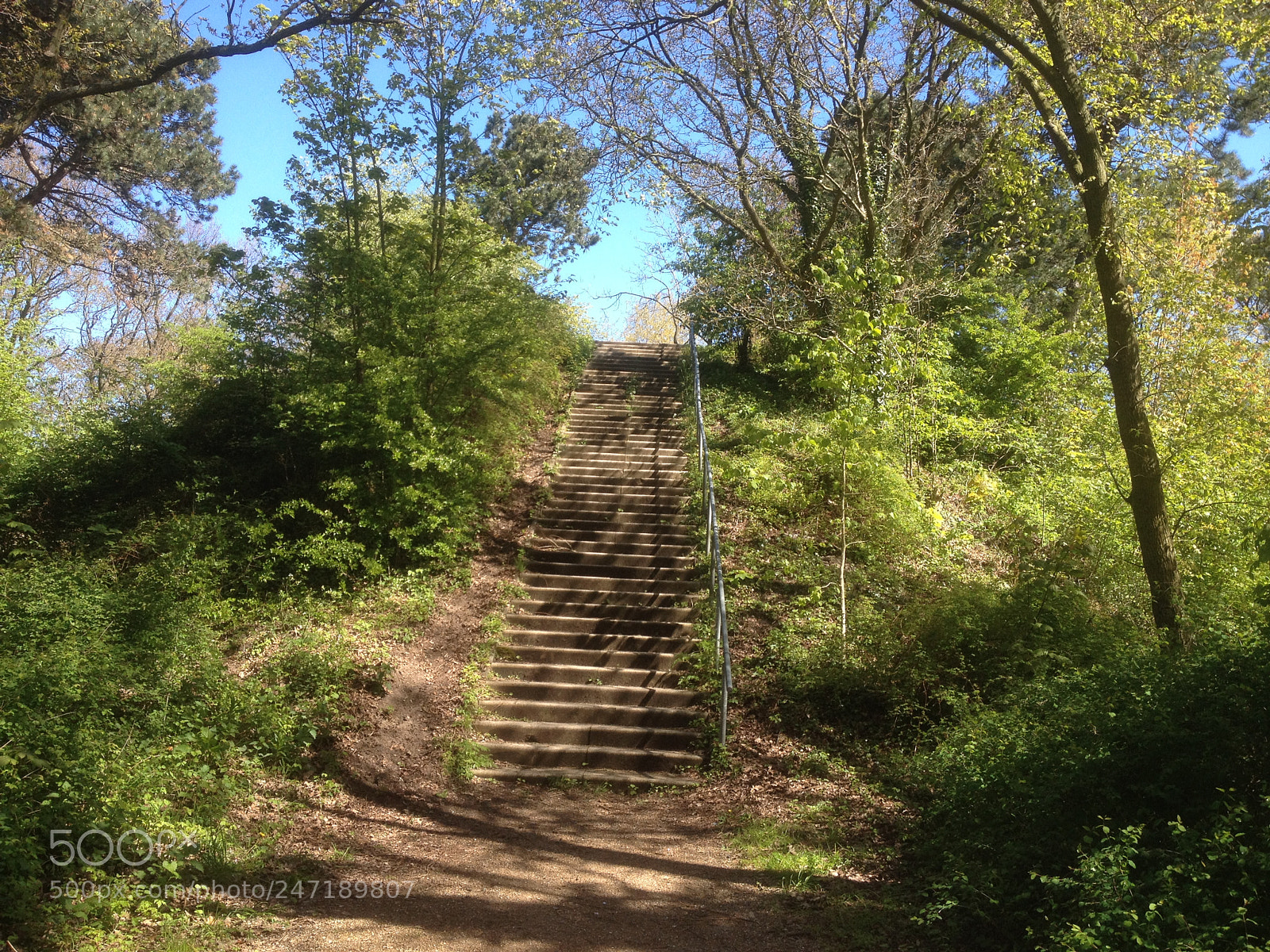 Apple iPhone 4S sample photo. Sint hubertuspark photography