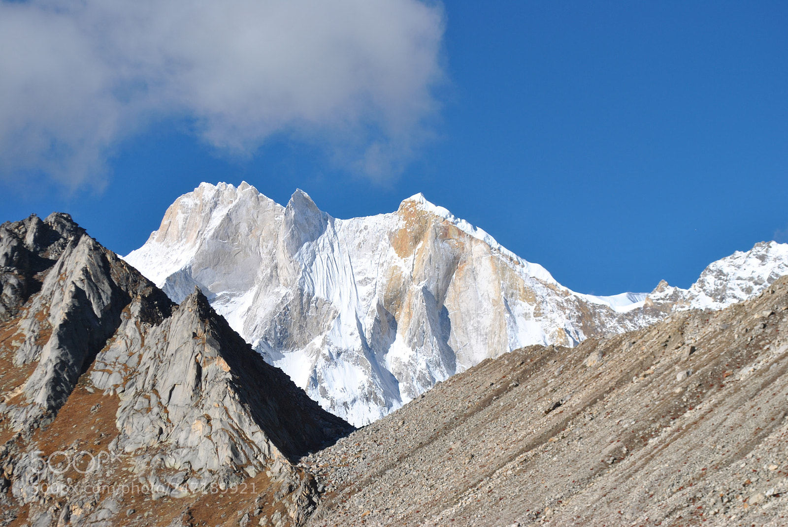Nikon D3000 sample photo. Himalayas tapovan, bhagurathi valley photography
