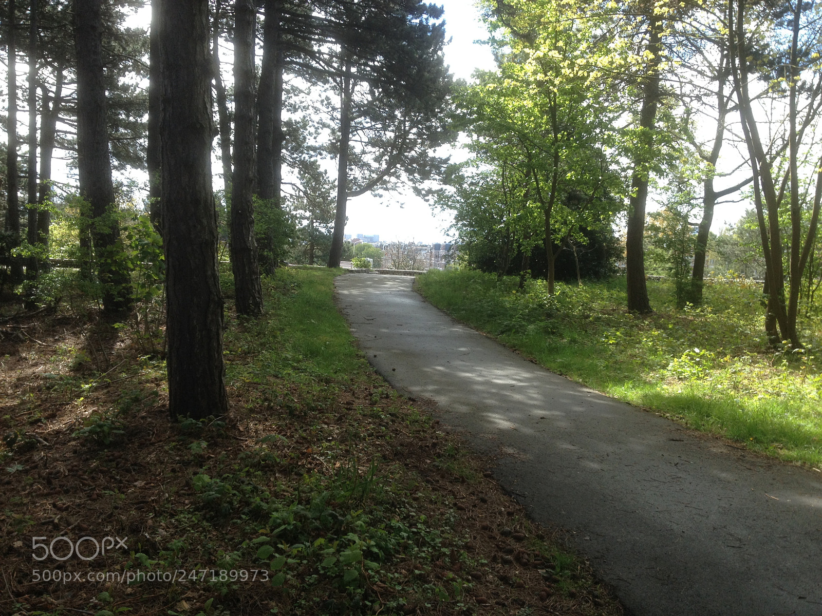 Apple iPhone 4S sample photo. Sint hubertuspark photography