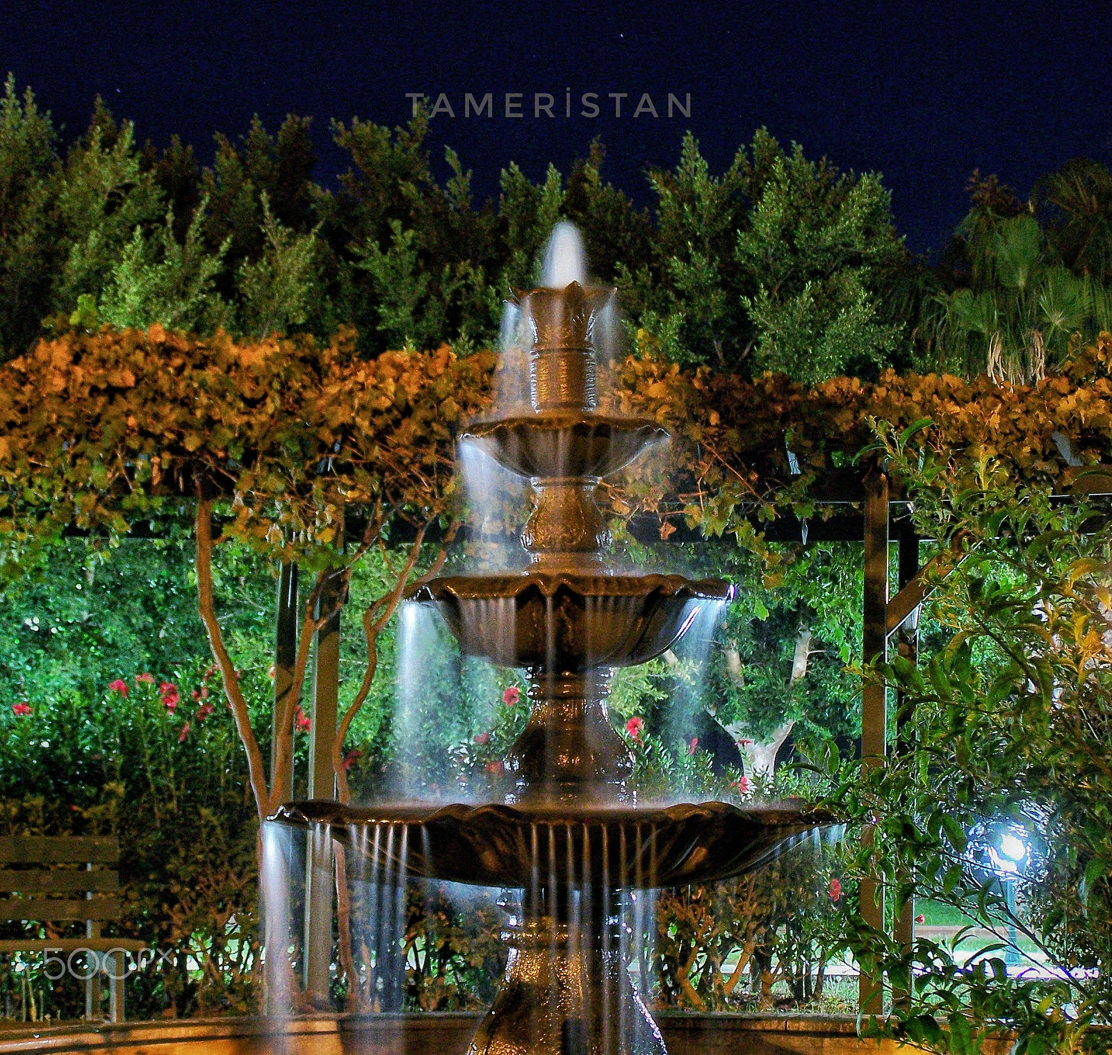 Kodak EASYSHARE Z710 ZOOM DIGITAL CAMERA sample photo. Night fountain.. photography