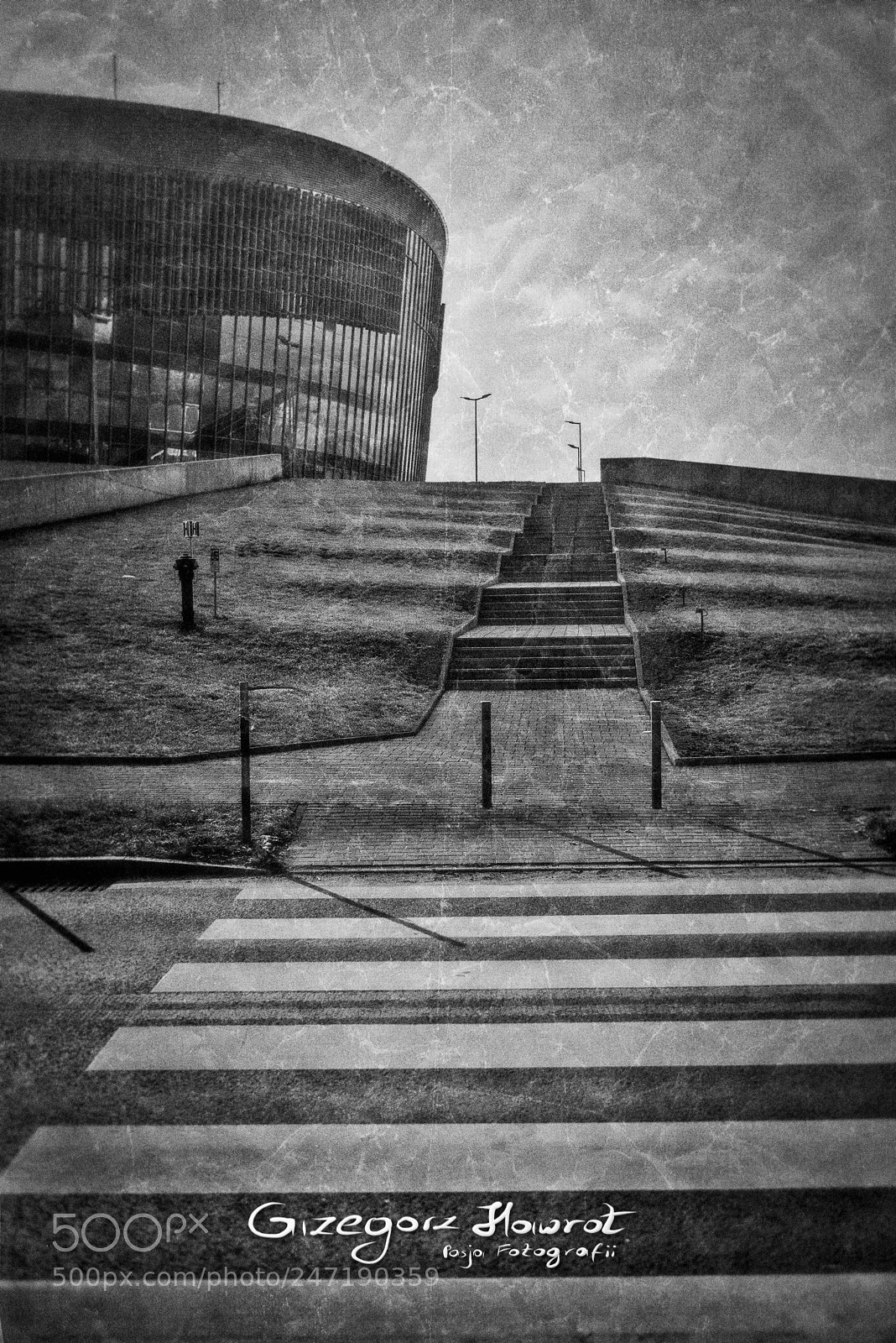 Nikon D800 sample photo. Streetfoto podej cie pod photography