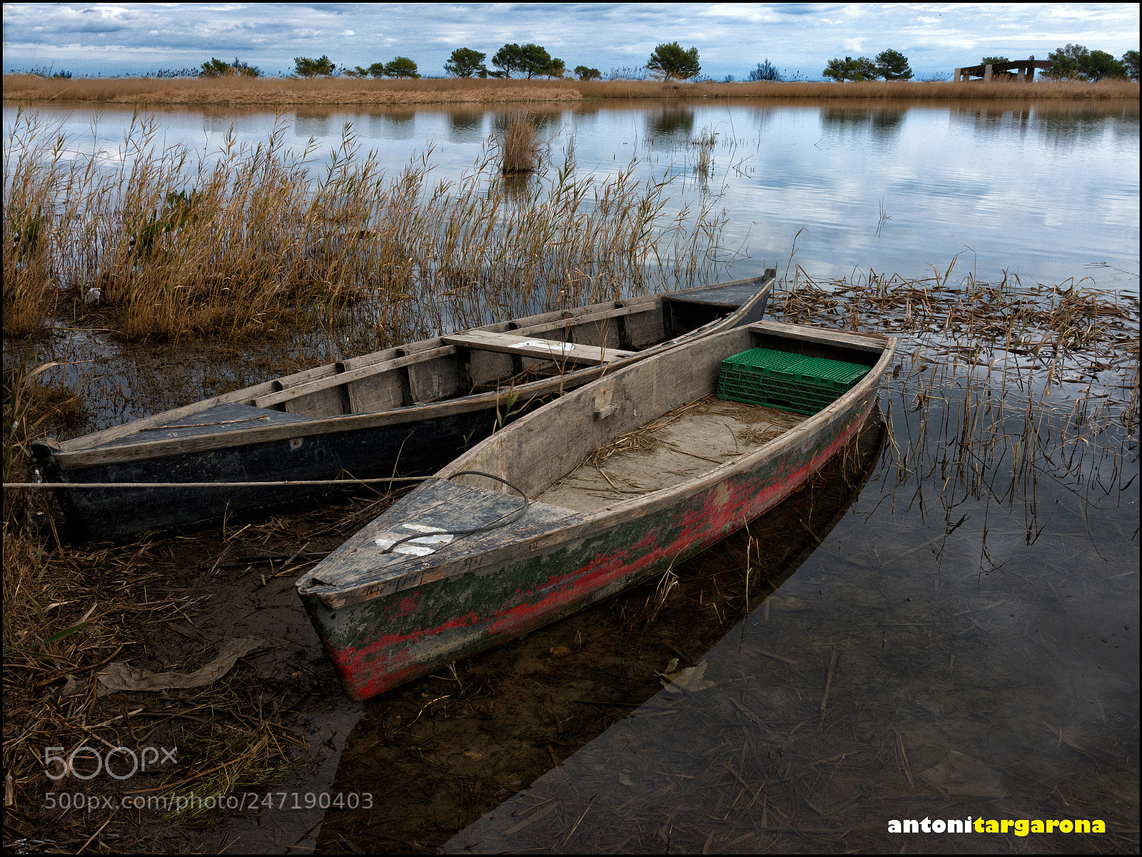 Nikon D7200 sample photo. Bassa de les olles photography