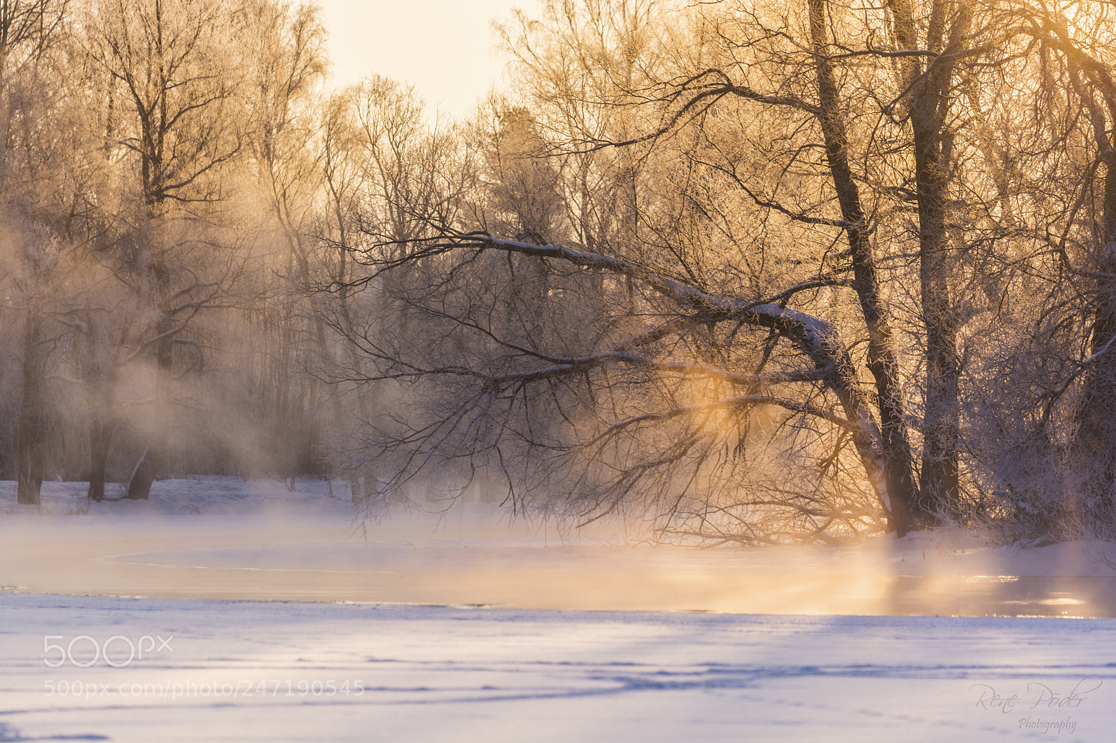 Nikon D7100 sample photo. Sunrise on a freezing photography