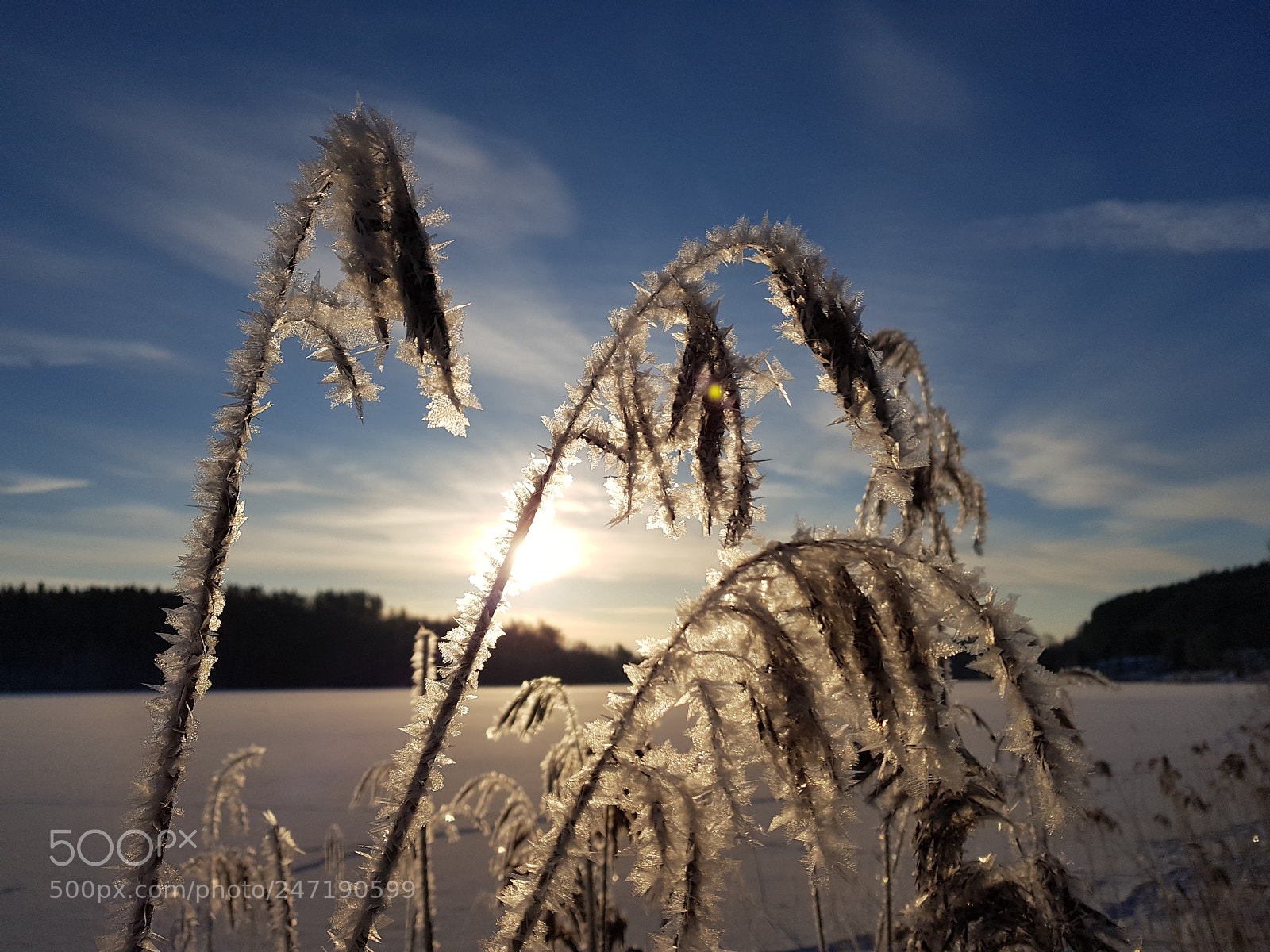 Samsung Galaxy S8 sample photo. Winter morning photography