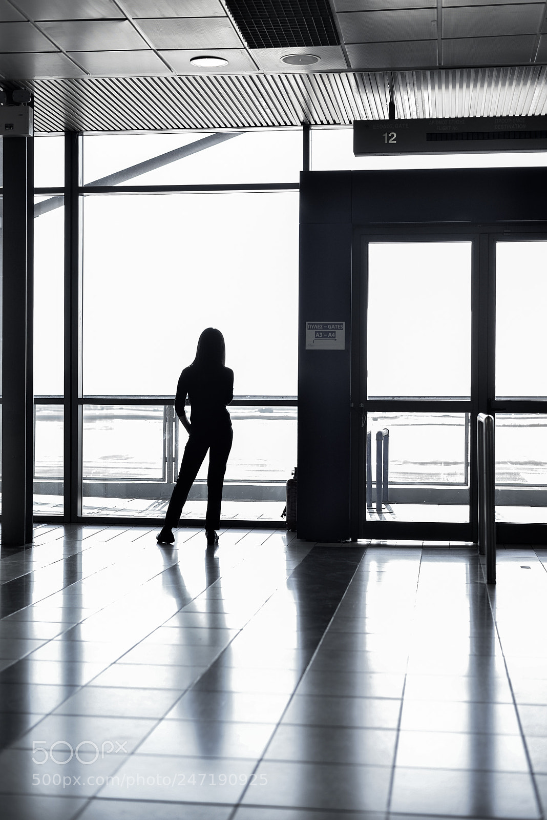 Nikon D610 sample photo. Airport photography