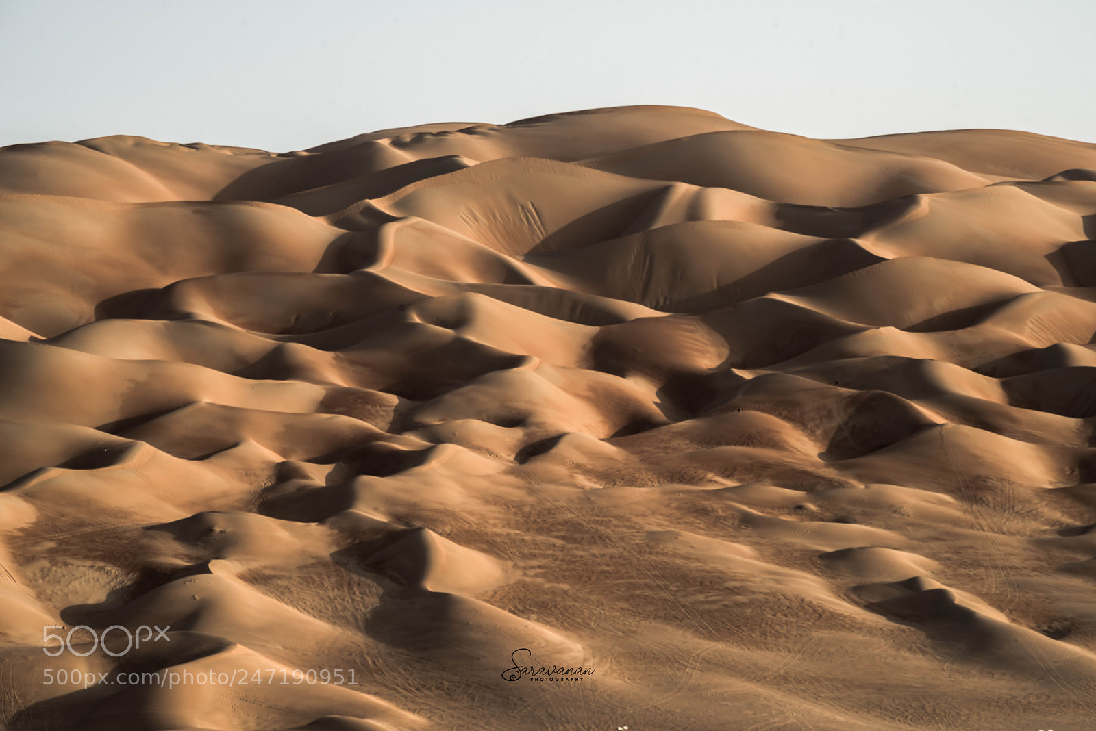 Nikon D610 sample photo. Liwa dunes photography