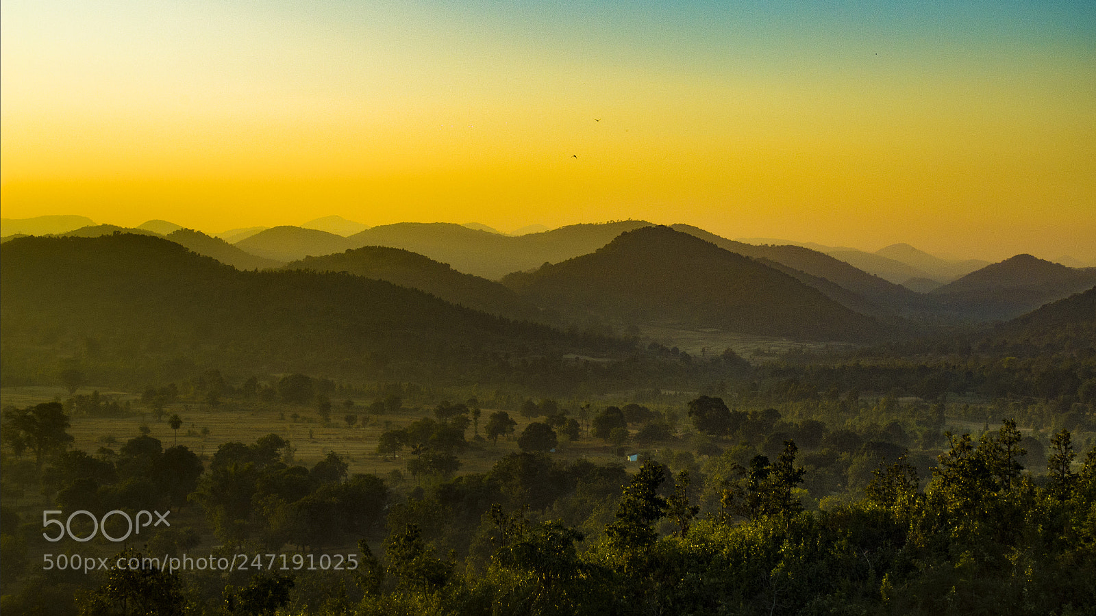 Nikon D5100 sample photo. Yellow sunset photography