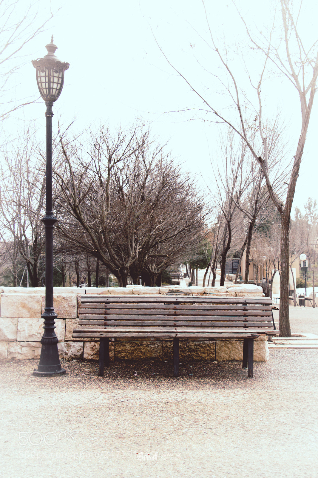 Canon EOS 80D sample photo. Park bench vintage photography