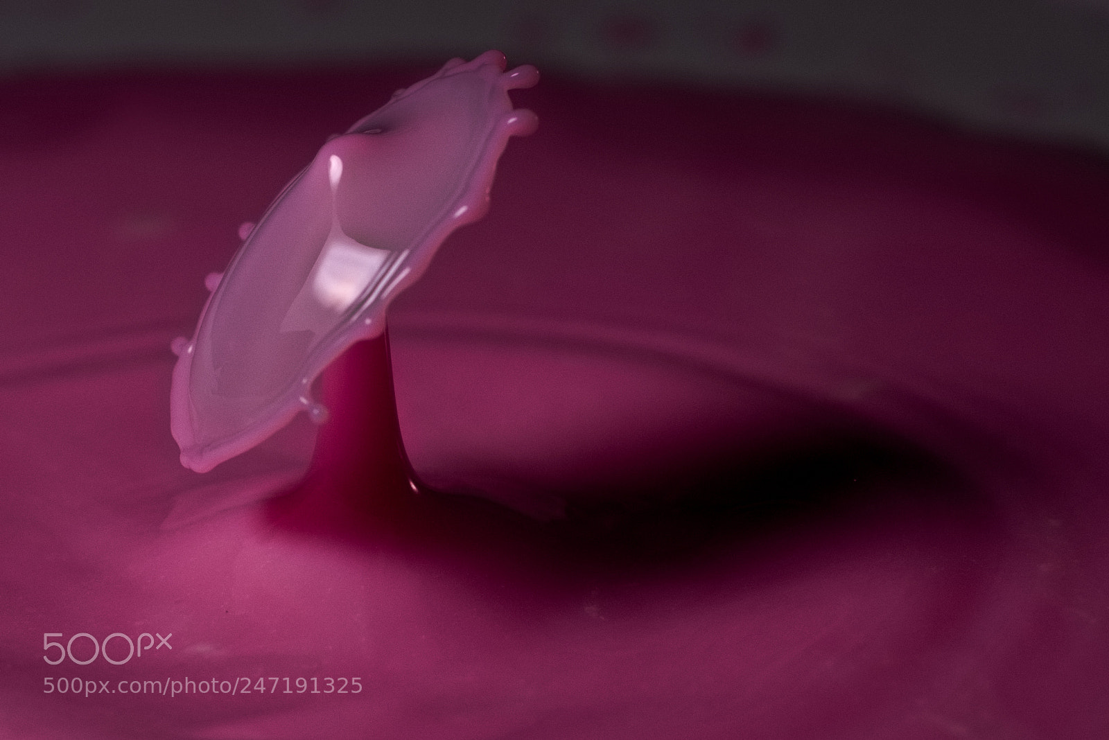 Nikon D7200 sample photo. Pink milk photography