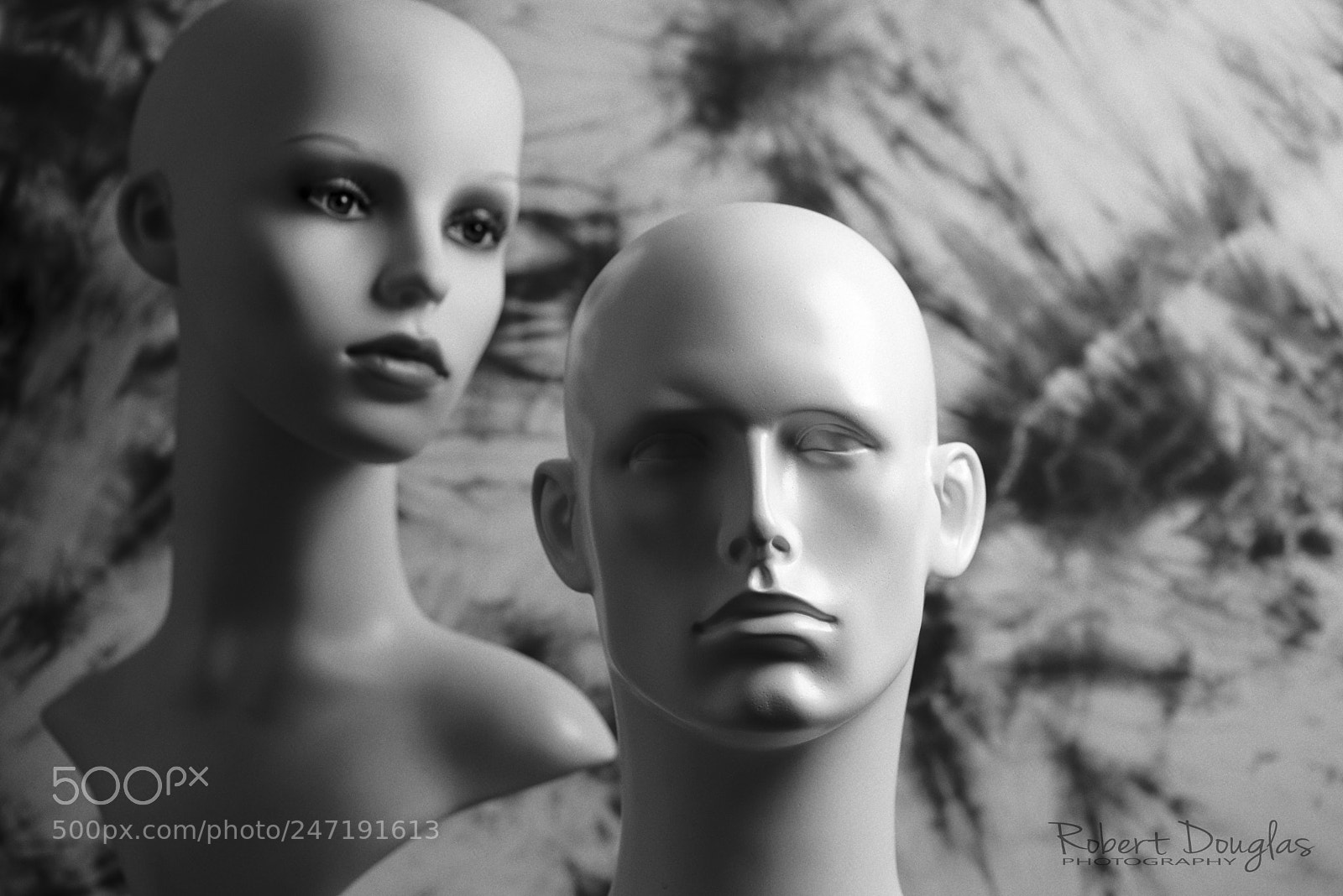 Nikon D610 sample photo. Subjects.............. photography