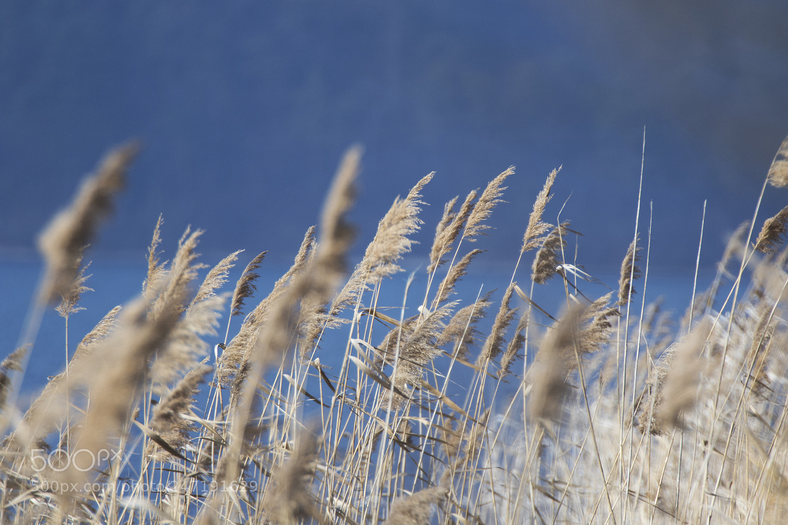 Canon EOS 7D Mark II sample photo. Natur photography