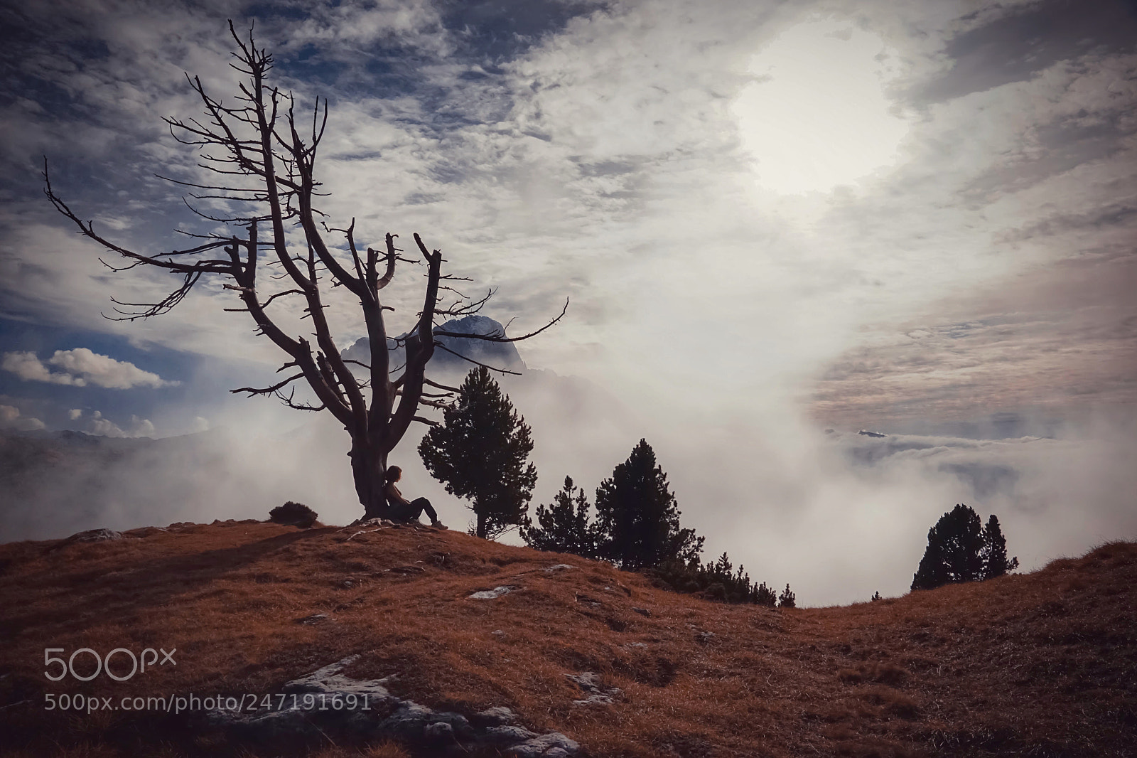 Sony a7 II sample photo. Untitled photography