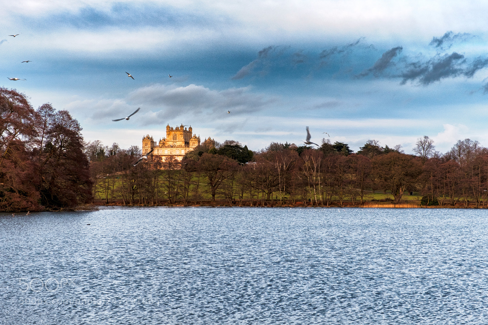 Fujifilm X-T2 sample photo. Wollaton hall photography