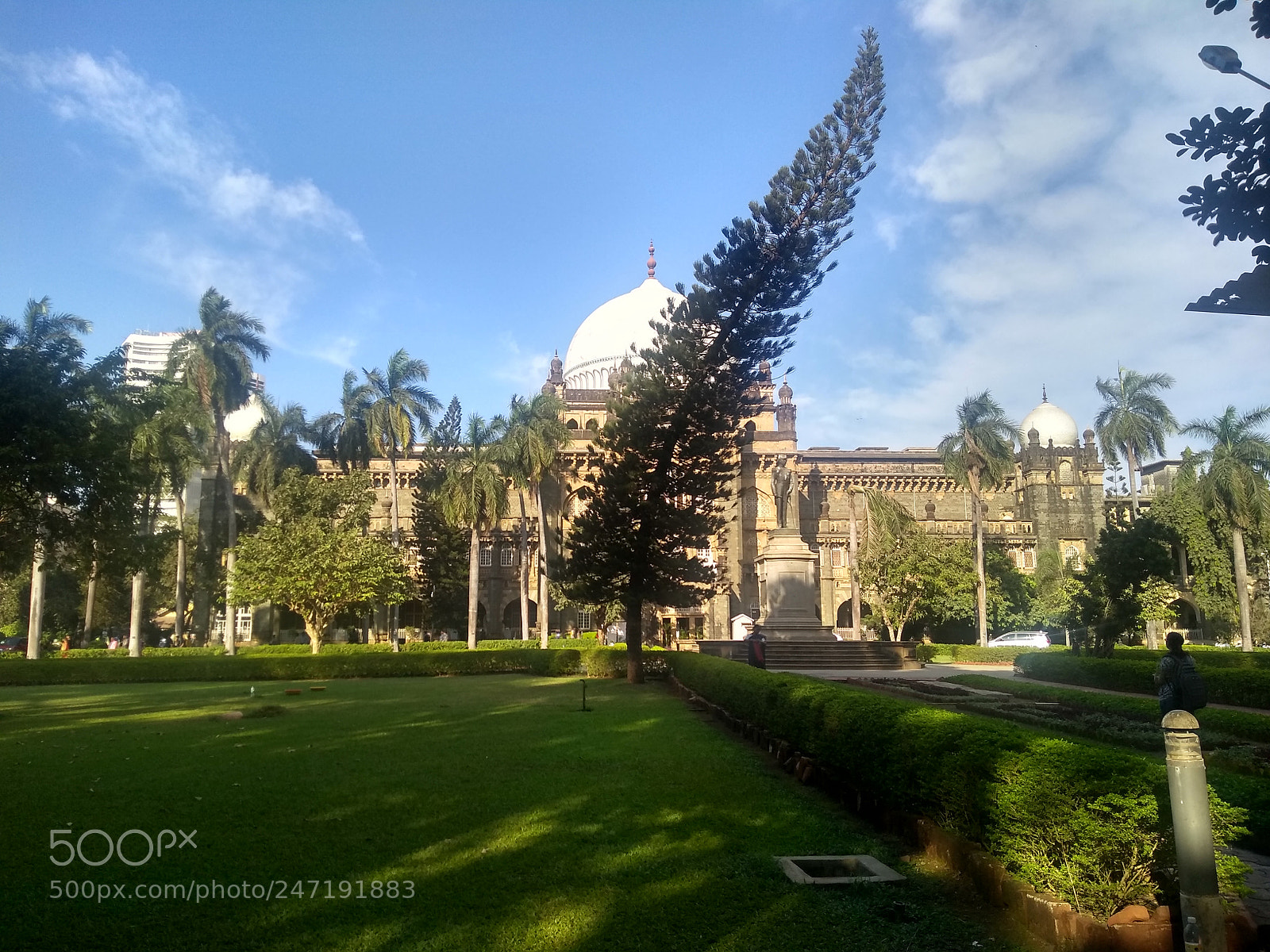 Motorola Moto G (5S) Plus sample photo. Treeee photography