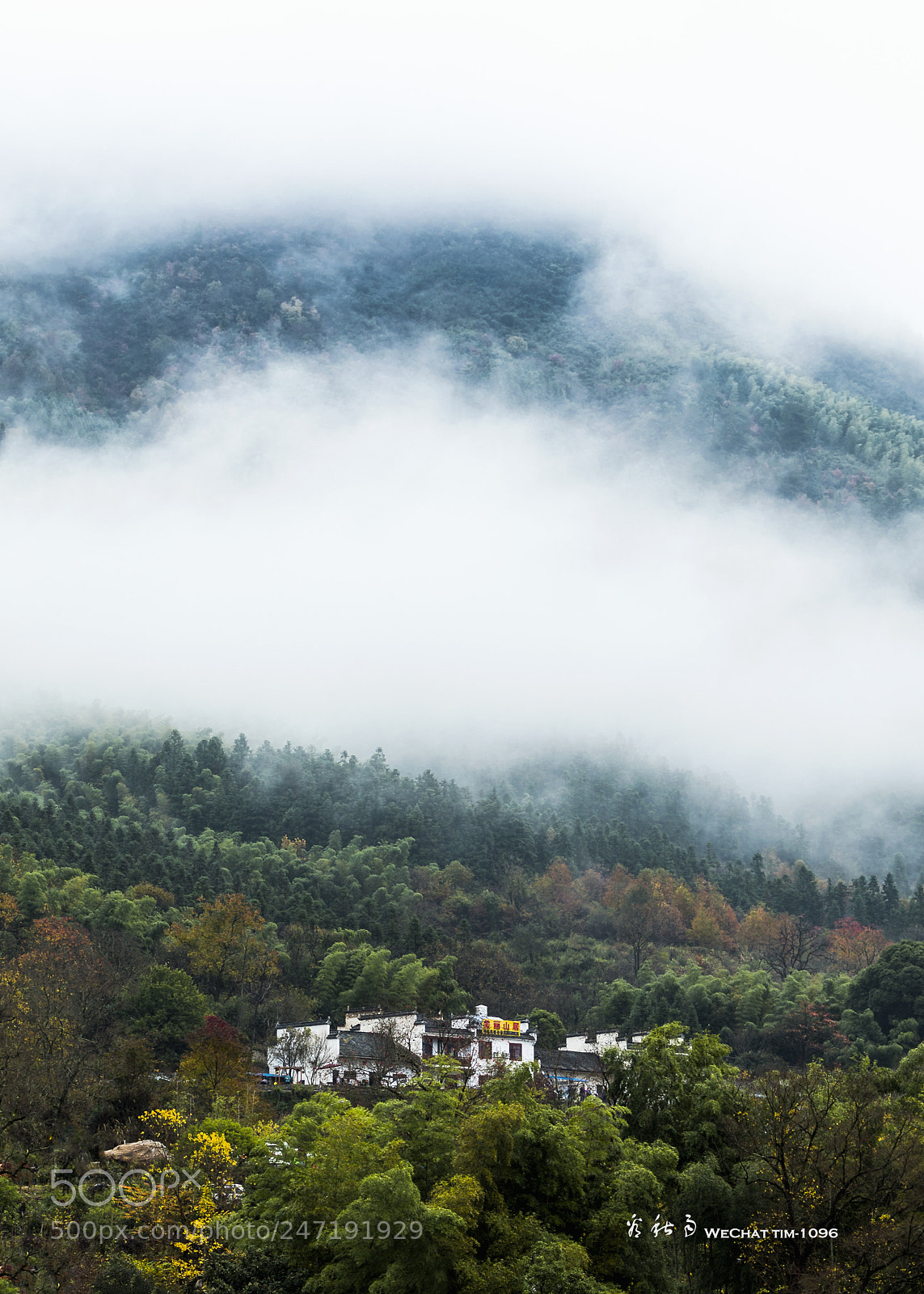 Canon EOS-1D X sample photo. After the rain photography