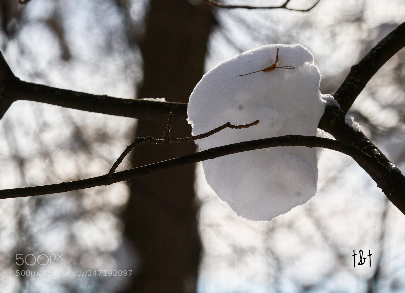 Canon EOS 7D sample photo. Untitled photography
