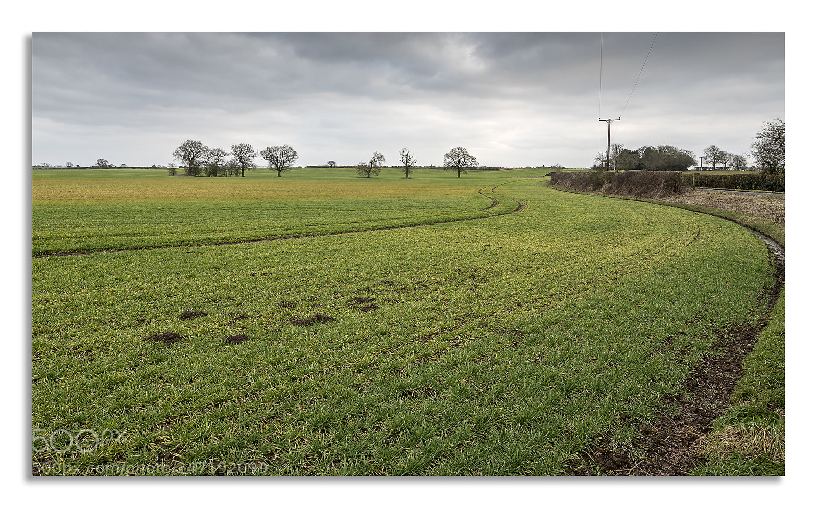 Nikon D850 sample photo. Could afternoon in north photography