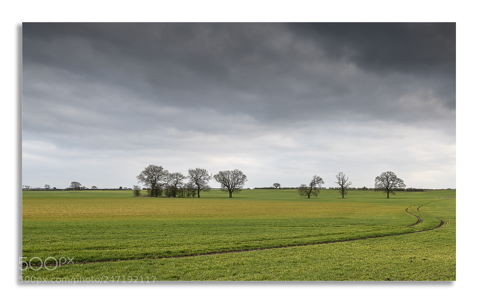 Nikon D850 sample photo. Could afternoon in north photography