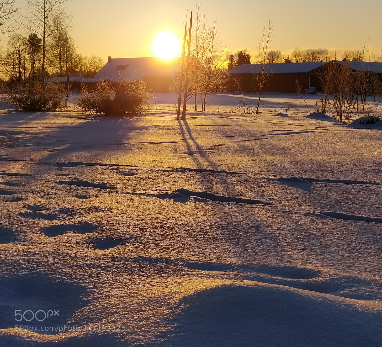 OnePlus 5 sample photo. Morning photography