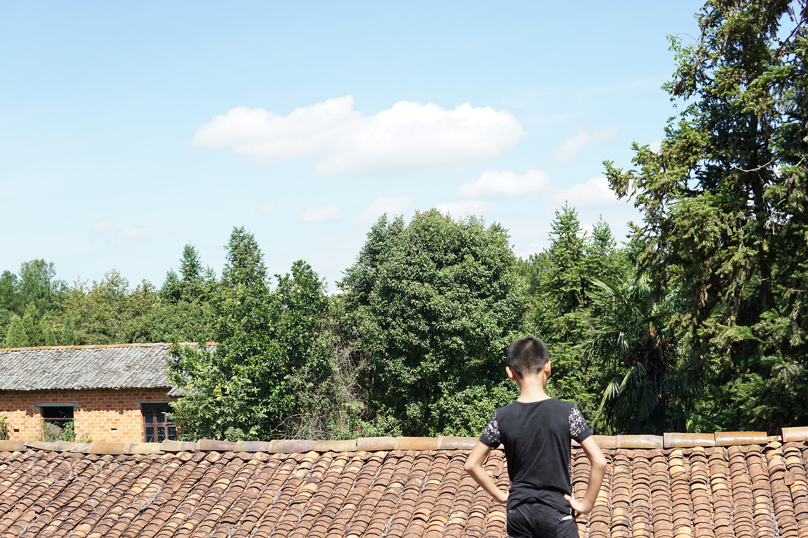 Sony a6000 + Sigma 30mm F1.4 DC DN | C sample photo. Boy in the roof photography