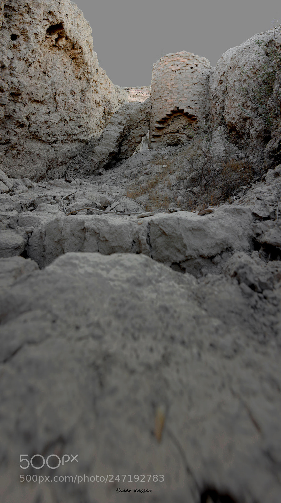 Nikon D7100 sample photo. #nikon photography