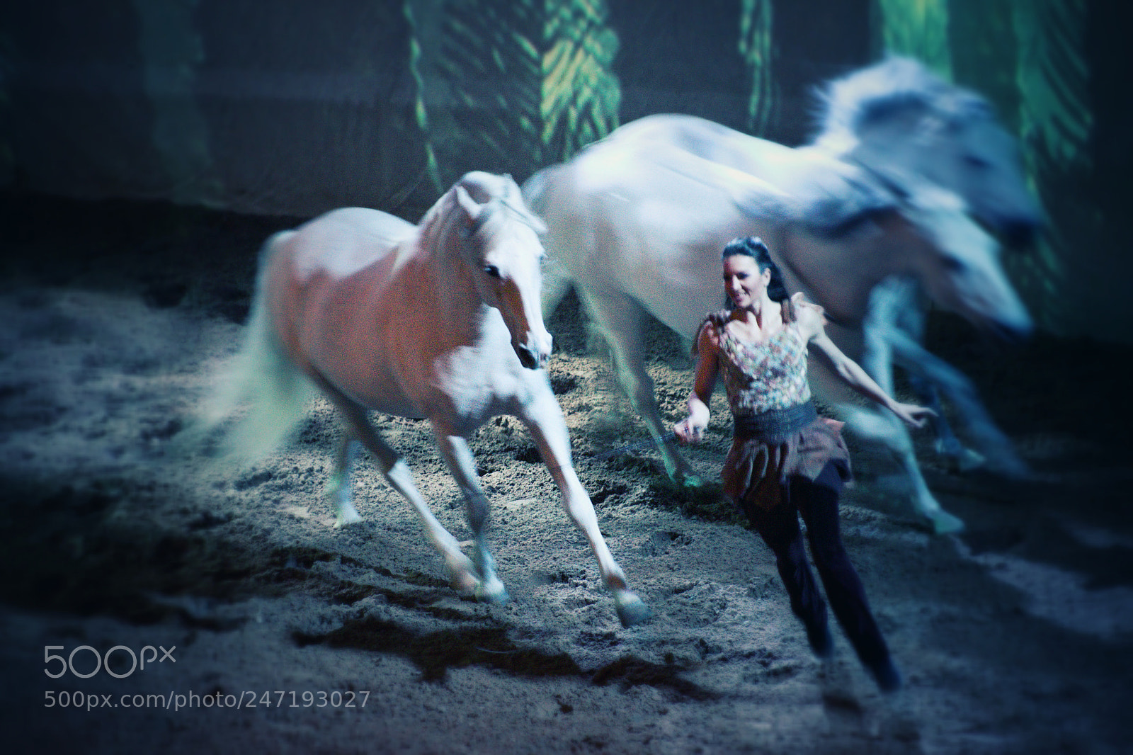 Pentax K-3 II sample photo. Cavalia, i photography