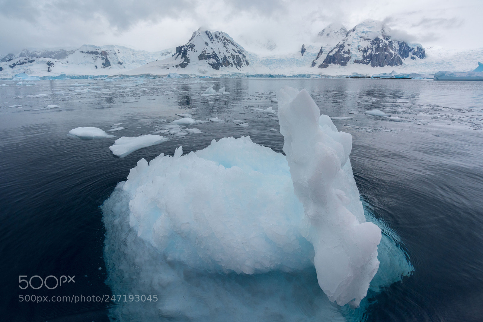 Nikon D810 sample photo. Antarctic ice floe photography
