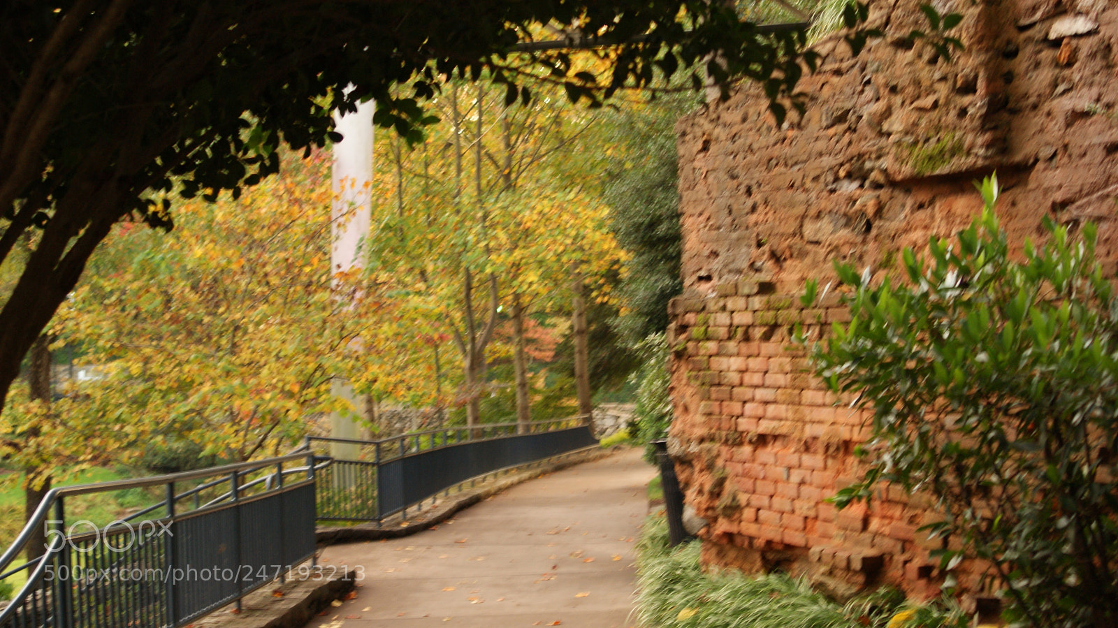 Sony Alpha DSLR-A230 sample photo. Crumbling photography