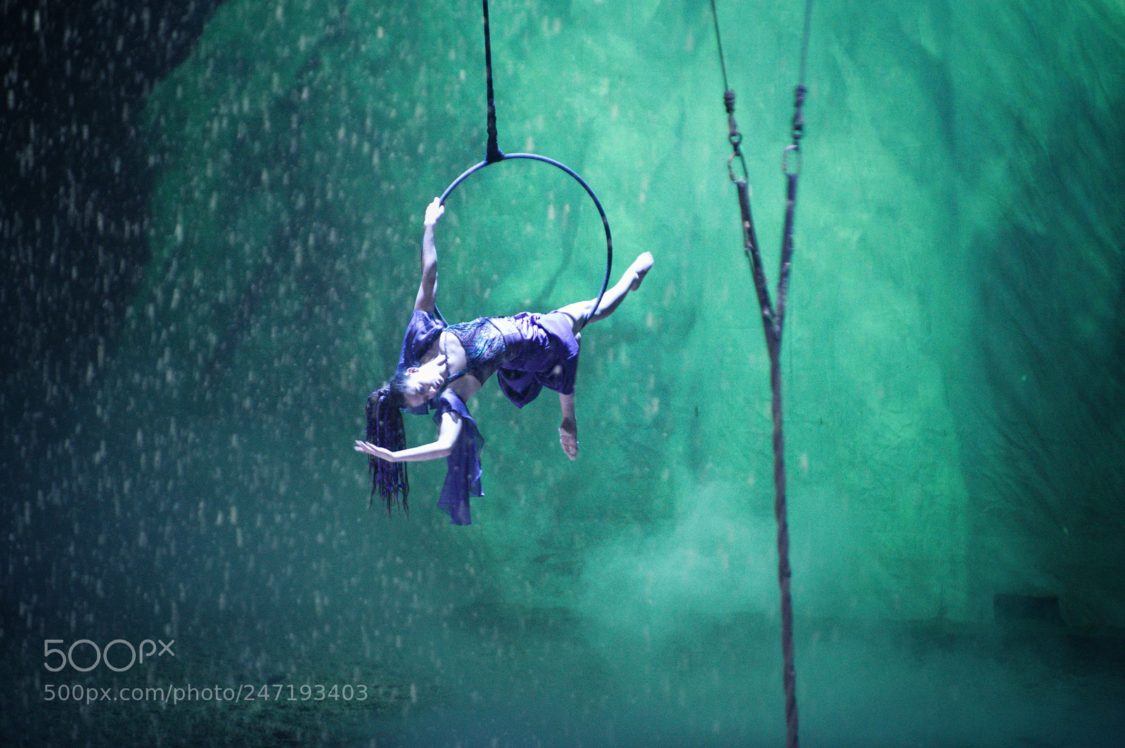 Pentax K-3 II sample photo. Cavalia, iv photography