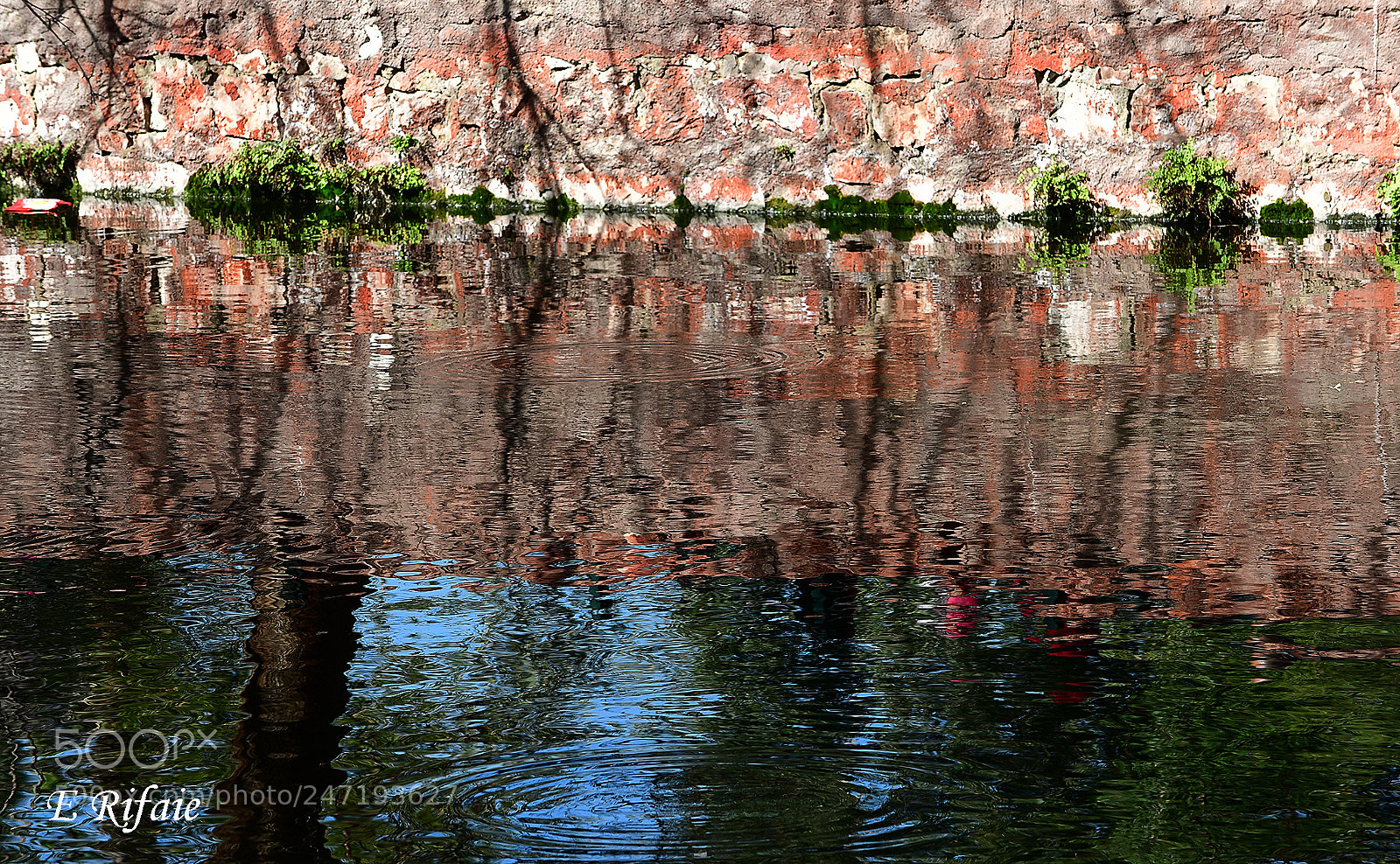 Nikon D7500 sample photo. Natural colors photography
