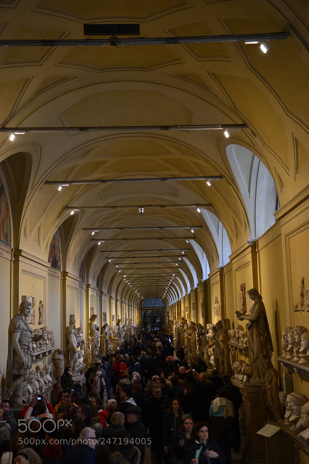 Nikon D3100 sample photo. Untitled photography