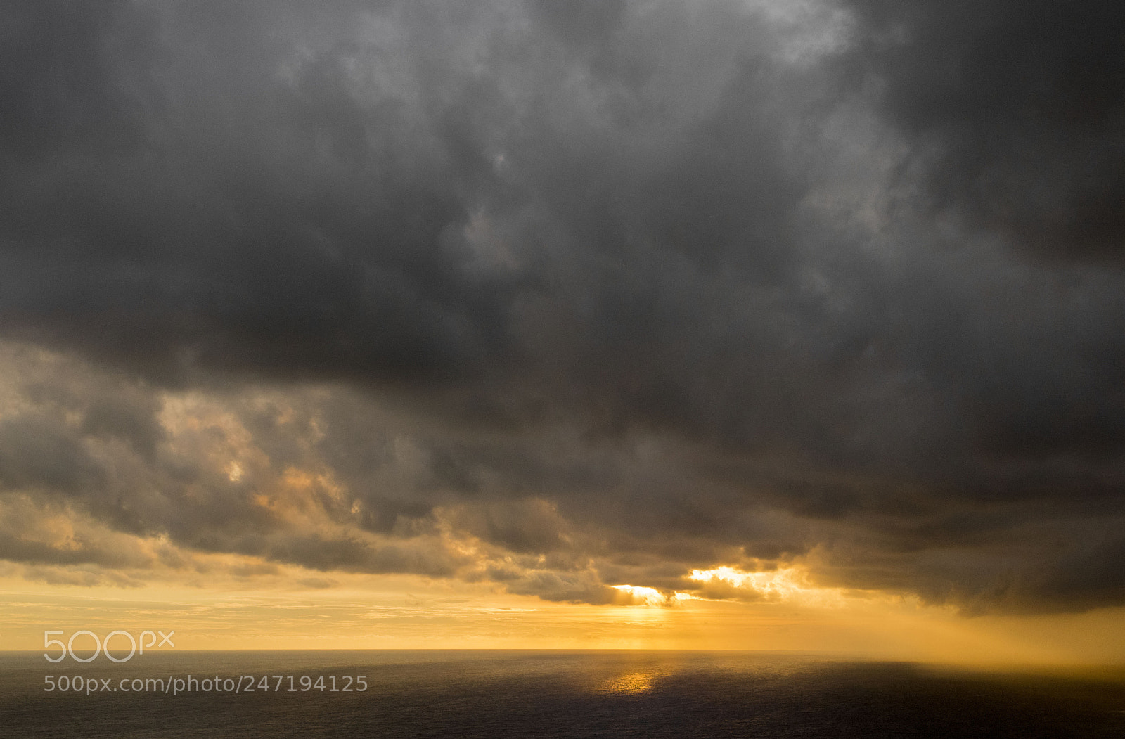 Nikon D810 sample photo. 夕阳 photography