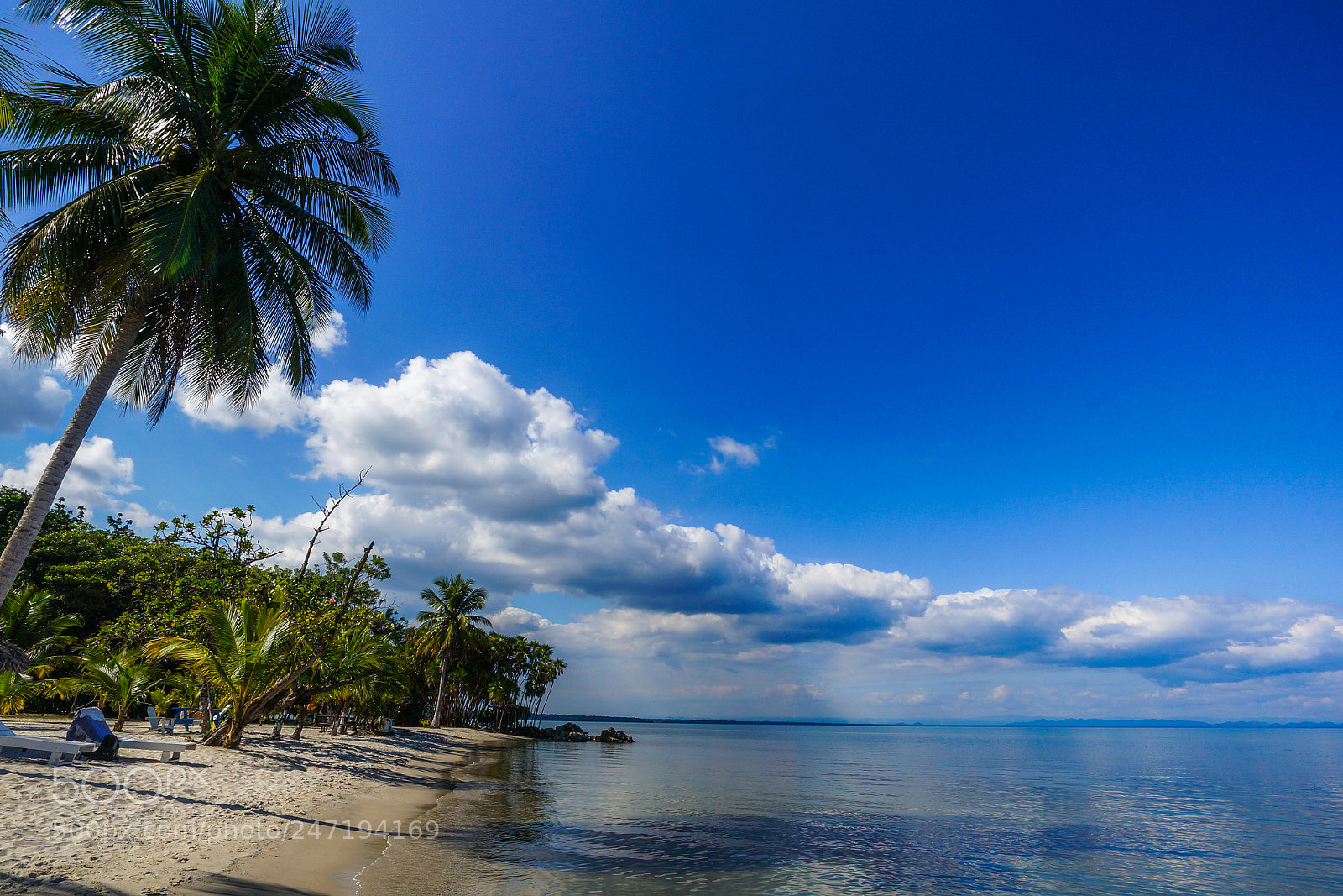 Sony Alpha NEX-5R sample photo. Time to relax photography