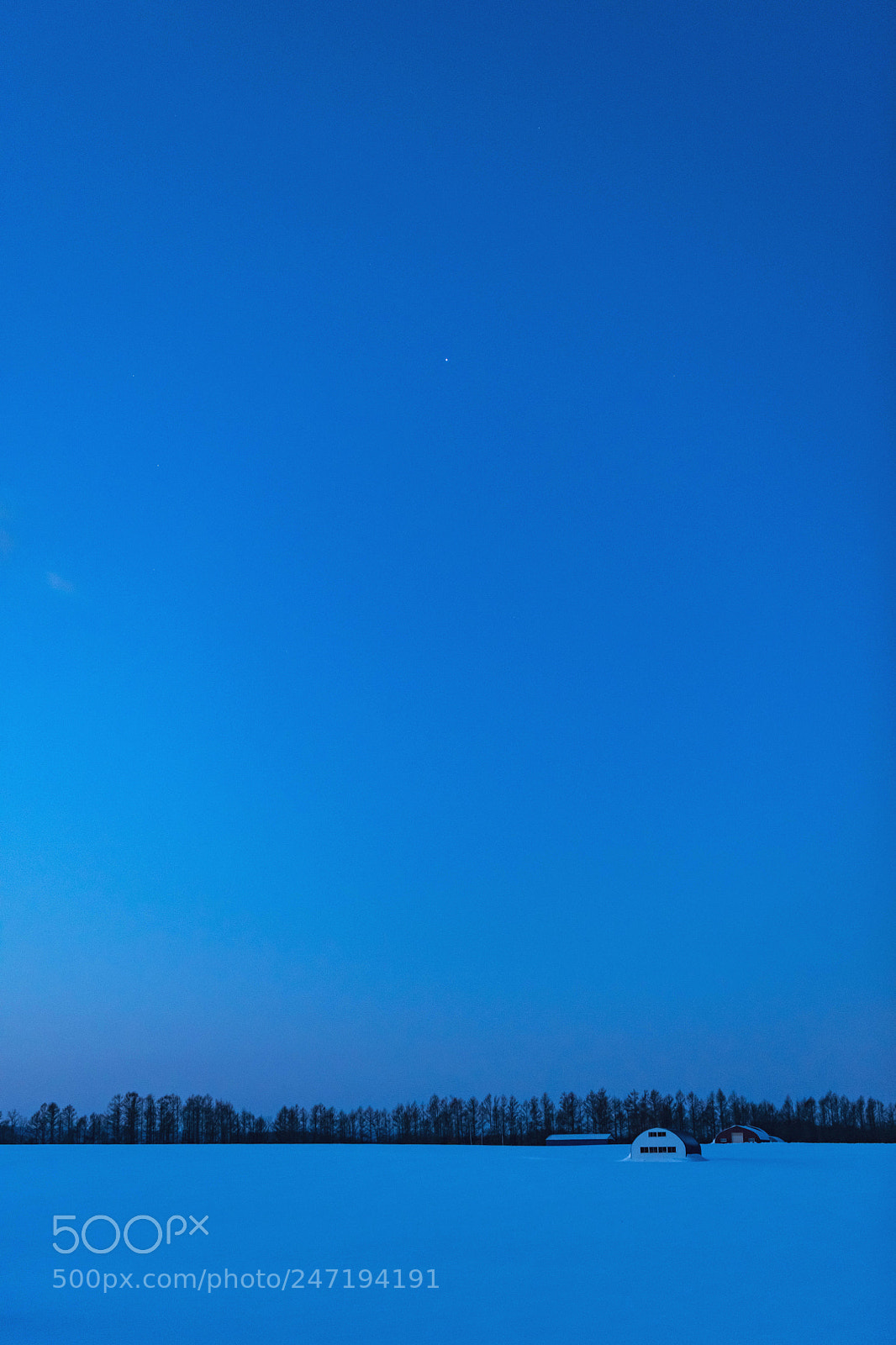 Nikon D850 sample photo. Untitled photography