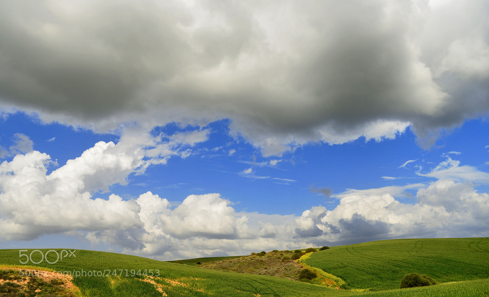 Nikon D610 sample photo. *** photography