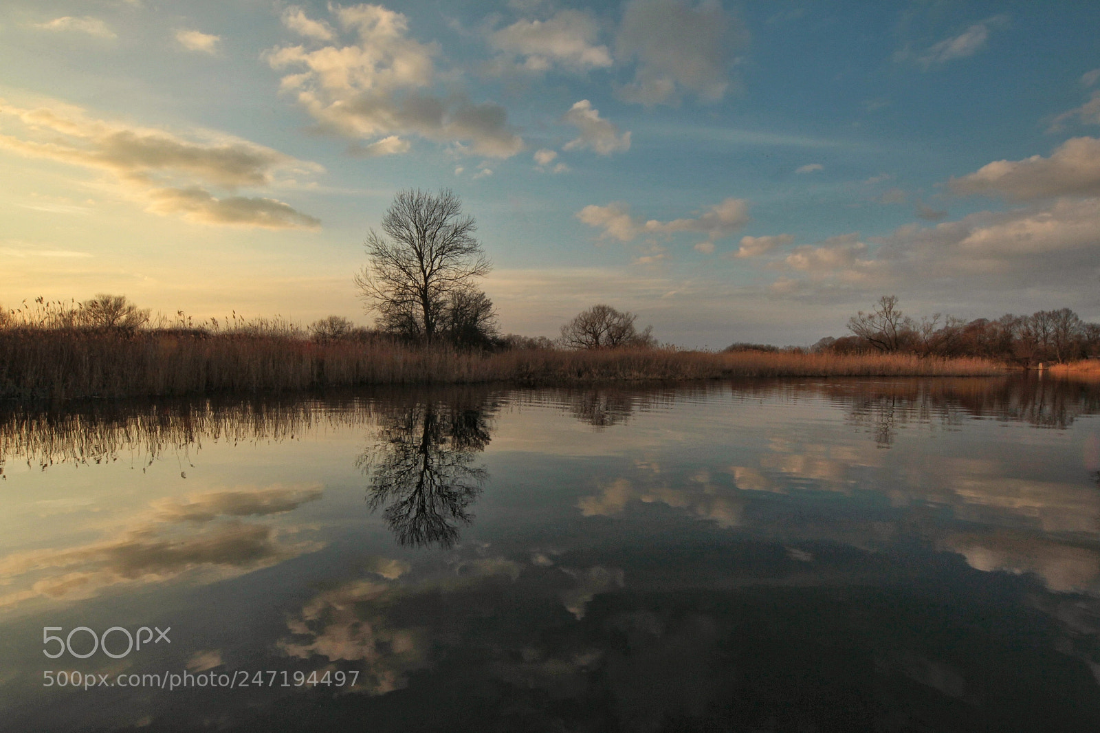 Canon EOS-1D Mark IV sample photo. Untitled photography