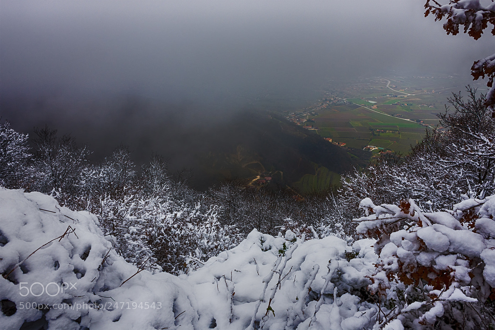 Nikon D7200 sample photo. Passo fiorine photography